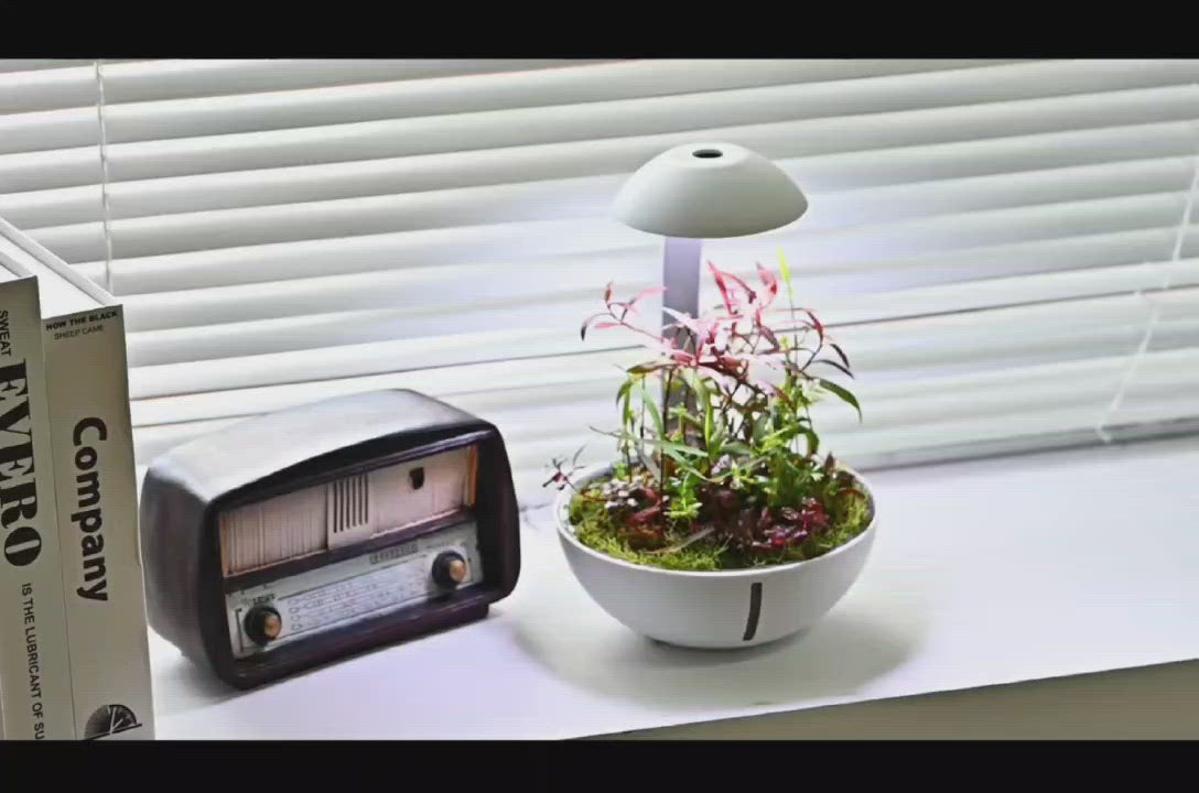Chihiros Tiny Terrarium Egg - Chihiros Aquatic Studio