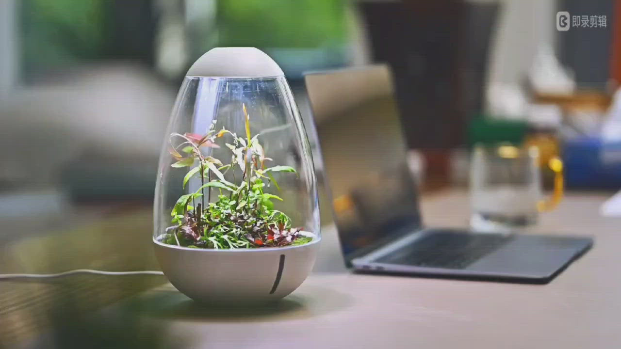 Chihiros Tiny Terrarium Egg - Chihiros Aquatic Studio