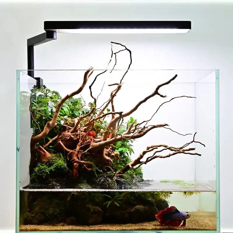 Chihiros C II LED Light - Chihiros Aquatic Studio