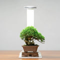 Chihiros Magnetic Light Terrarium Set - Chihiros Aquatic Studio