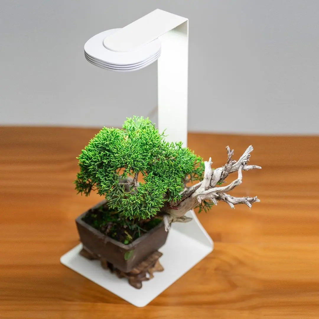 Chihiros Magnetic Light Terrarium Set - Chihiros Aquatic Studio