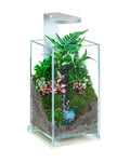 Chihiros Magnetic Light Terrarium Set - Chihiros Aquatic Studio