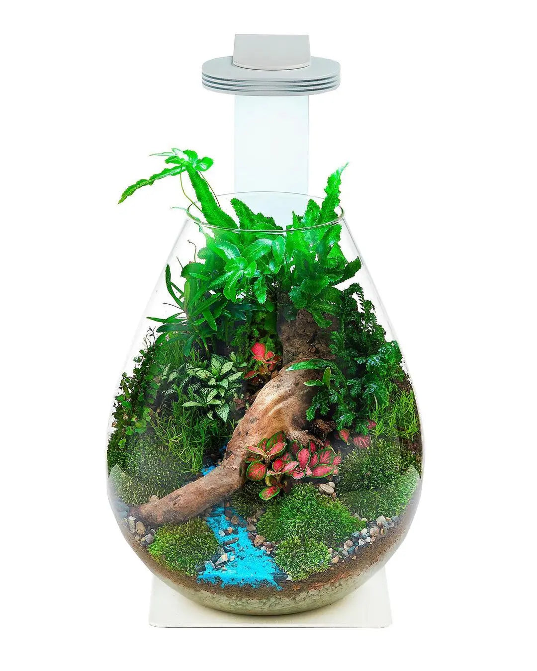 Chihiros Magnetic Light Terrarium Set - Chihiros Aquatic Studio