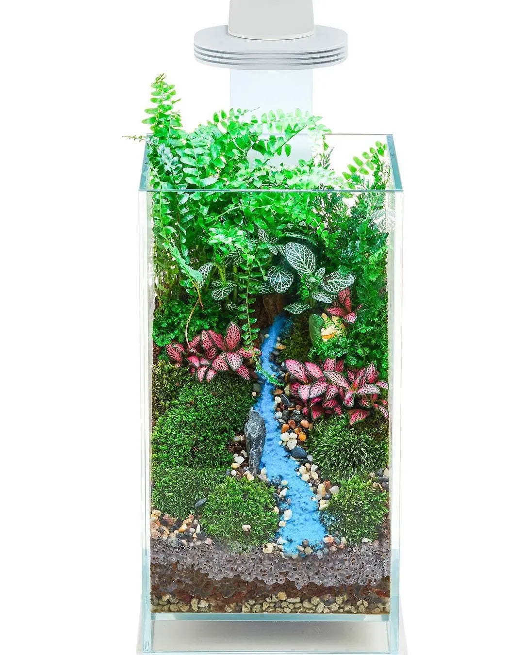 Chihiros Magnetic Light Terrarium Set - Chihiros Aquatic Studio