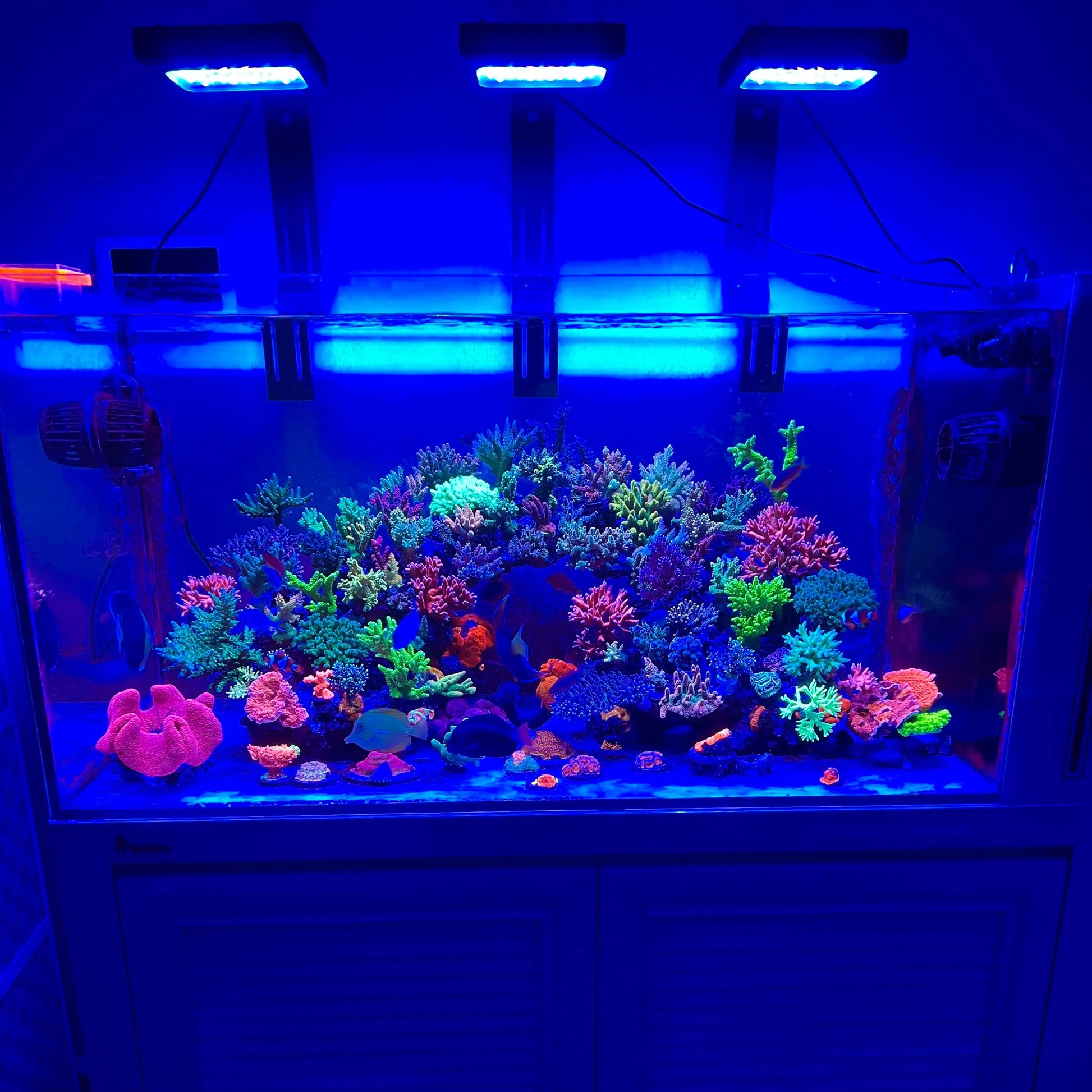 Chihiros Saltwater Nova 1 LED Light - Chihiros Aquatic Studio