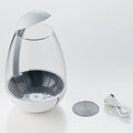 Chihiros Tiny Terrarium Egg - Chihiros Aquatic Studio